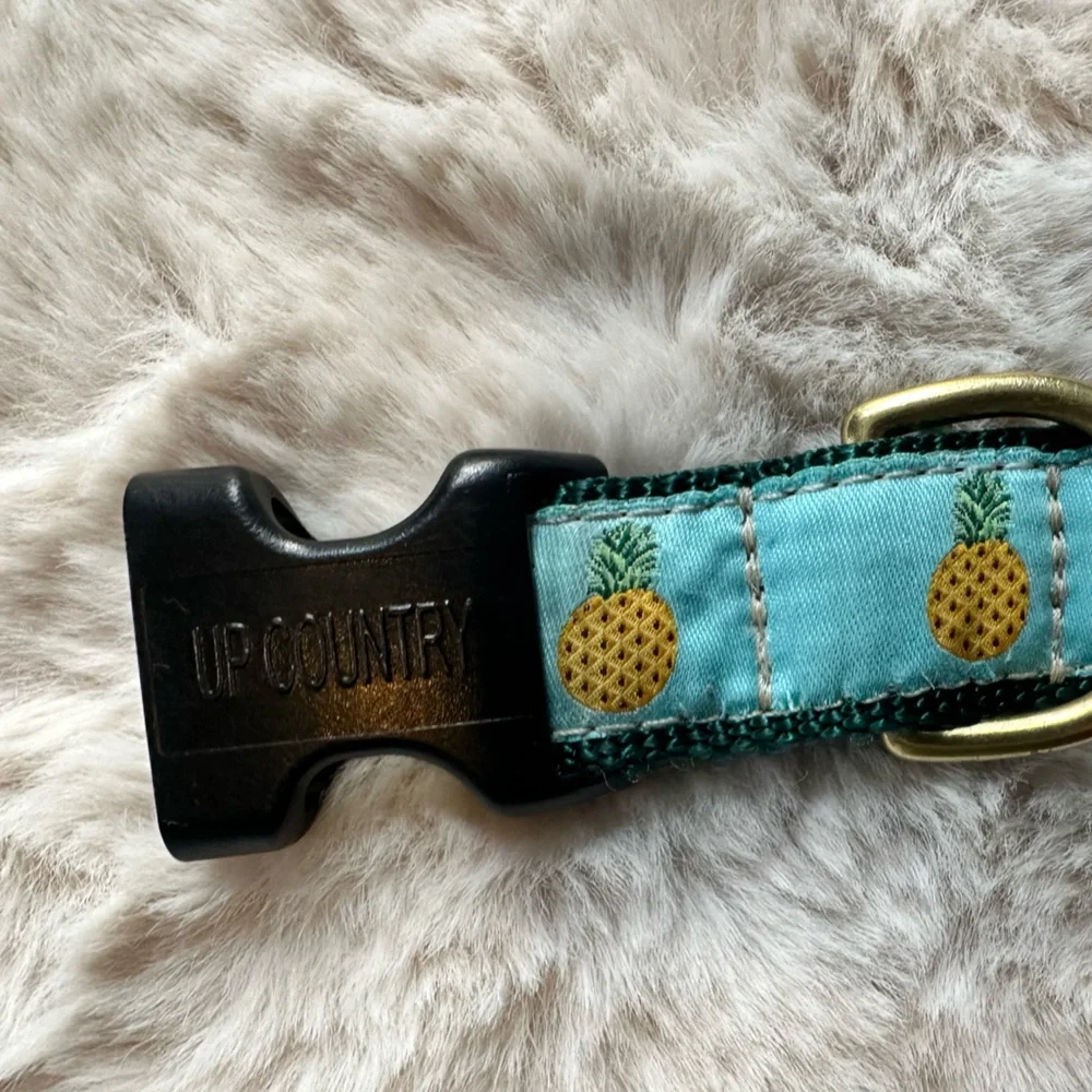 Up Country Pineapple Dog Collar - Size Medium